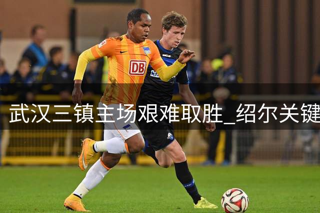 武汉三镇主场艰难取胜 绍尔关键头球锁定两连胜
