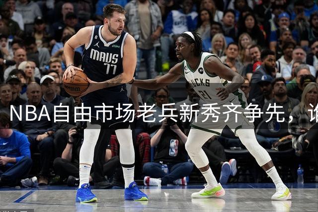 NBA自由市场老兵新秀齐争先，谁将成今夏最大赢家？